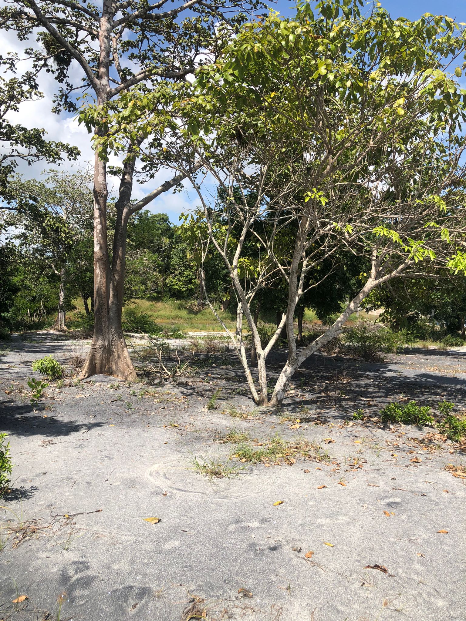 Lote Frente de Playa en Juan Hombrón Venta $680000 - Imagen ampliada 9