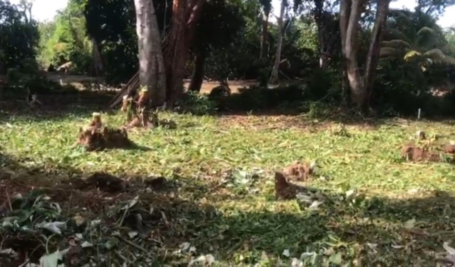 LOTE EN UTILA ISLAS DE LA BAHIA HONDURAS - Imagen ampliada 1