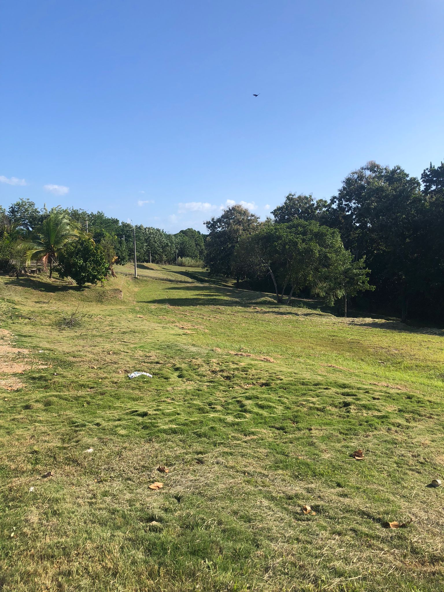 Espectacular proyecto en Santa Fe de las Lajas frente a Coronado Venta $250000 - Imagen ampliada 2