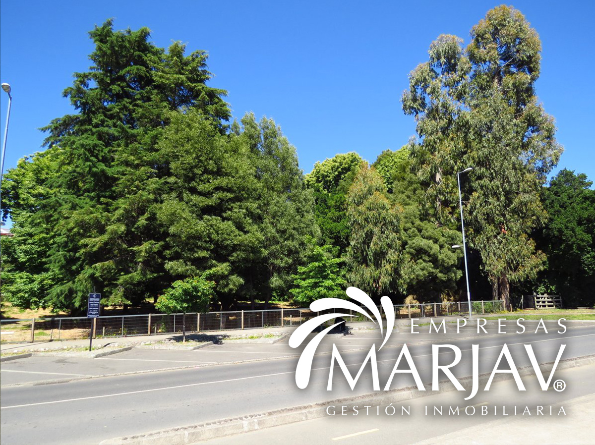 Propiedad urbana Sur de Chile Villarrica - Imagen ampliada 8