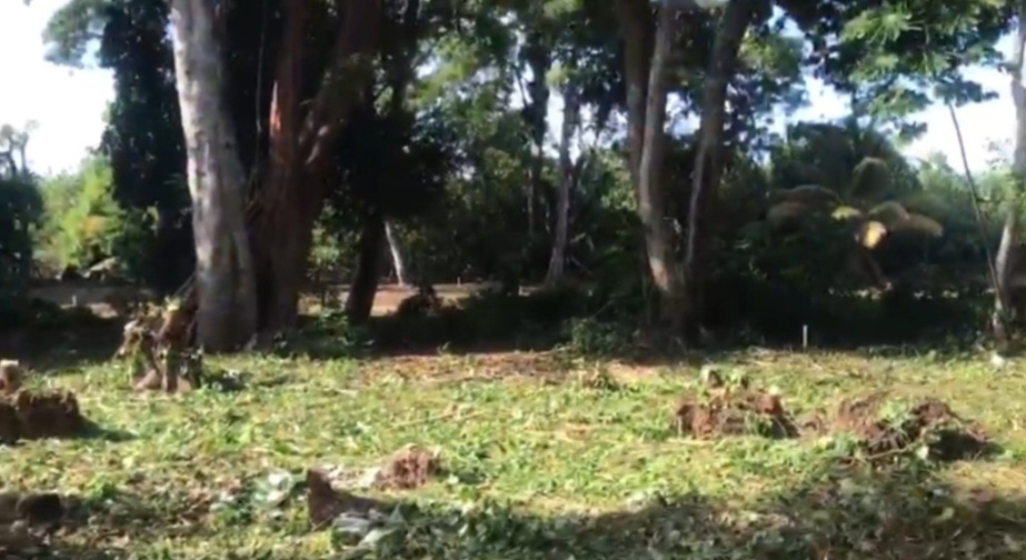 LOTE EN UTILA ISLAS DE LA BAHIA HONDURAS - Imagen ampliada 2
